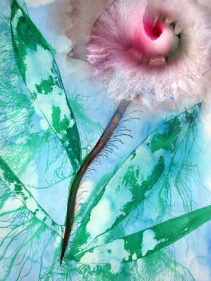 Reinoud van Vught, Zonder Titel, 2015, acryl op papier, 49x70cm