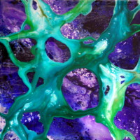 Erik Pluis, Avatar 1