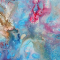 Erik Pluis, Who Owns What, 2017