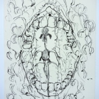 TIP Anatomie VII Marc Mulders Reinoud van Vught Paul van Dongen Litho EA April 98