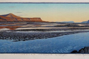 Siemen Dijkstra, Dreams of a Landscapist nr 05, Sassendalen, Spitsbergen. Uitverkocht, sold out.