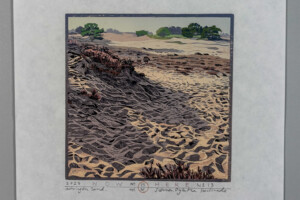 Siemen Dijkstra, Aekinger Zand, Uitverkocht, sold out.