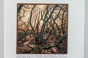 Siemen Dijkstra, Hexenbosje De Bork