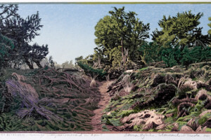 Siemen Dijkstra, Oosterzand, 2023