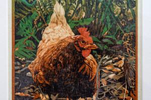 Siemen Dijkstra, Uitverkocht, sold out.