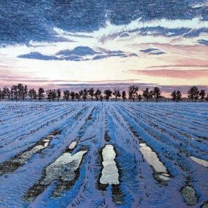 Siemen Dijkstra, Avond valt over de NoordLheeder es, 2019, Kleurenhoutsnede,19 x 105 cm, ingelijst 38 x 123 cm (detail) Siemen Dijkstra, Avond valt over de NoordLheeder es, 2019, Kleurenhoutsnede,19 x 105 cm, ingelijst 38 x 123 cm (detail)