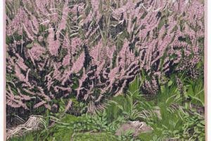Siemen Dijkstra, Calluna Vulgaris, 2018, 15 x 15 cm, ingelijst 31 x 31 cm. Siemen Dijkstra, Calluna Vulgaris, 2018, 15 x 15 cm, ingelijst 31 x 31 cm.