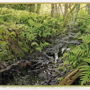 Siemen Dijkstra, Het Tekenbos № 3, 2018. Uitverkocht. Sold out. Siemen Dijkstra, Het Tekenbos № 3, 2018, Kleurenhoutsnede 25 x 99 cm, ingelijst 45 x 118 cm