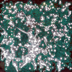 Vera Hilger, Zonder titel, Olieverf en tempera op doek, 100 x 100 cm, 2019 Vera Hilger, ÖlTempera auf Leinwand, 100 x 100 cm, 2019