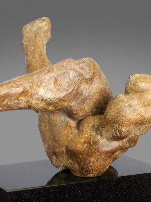 Marti de Greef, X-factor