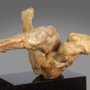 Marti de Greef, X-factor