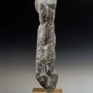 Marti de Greef, Het Model