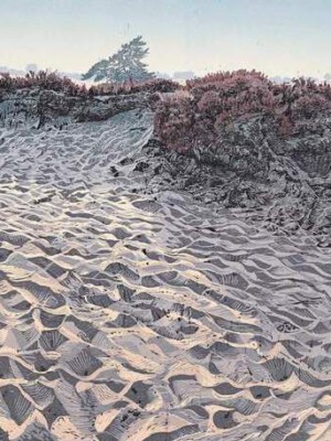 Siemen Dijkstra, Aekinger Zand, 2020, uitverkocht, completely sold out.