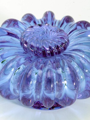 Barbara Nanning, Fleur bij kunstlicht