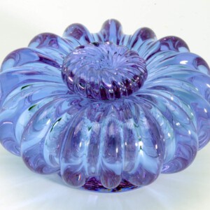 Barbara Nanning, Fleur bij kunstlicht