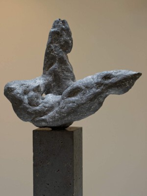 Marti de Greef, Tors I