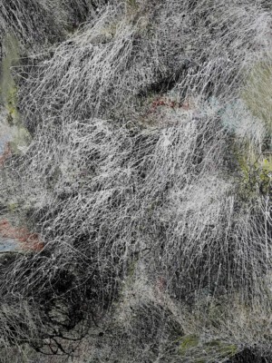 Reinoud van Vught, Zonder titel.