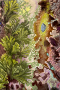 Jacobien de Rooij, Air Bladder