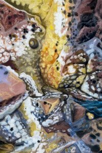 Jacobien de Rooij, Rocky Shore