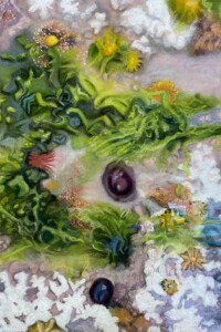 Jacobien de Rooij, Zeesla