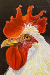 Jacobien de Rooij, Haan, A4 formaat