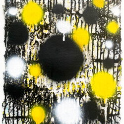 Carolanna Parlato, Matrix 1