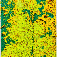 Sander Reijgers, zonder titel