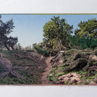 Siemen Dijkstra, Oosterzand