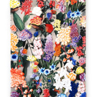 Arjan van Arendonk, 3 little Birds