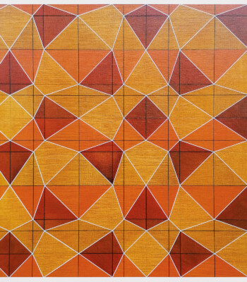 Paul Ouwerkerk, Systemic Intrusion Nr. 007