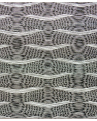 Selma Dronkers, Parallax 2.1