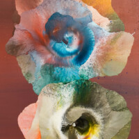 Reinoud van Vught, Zonder Titel