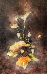 Arno Sijben, Balance 24 Olieverf, acrylverf en acrylaatbinder op doek, 60 x 50 cm