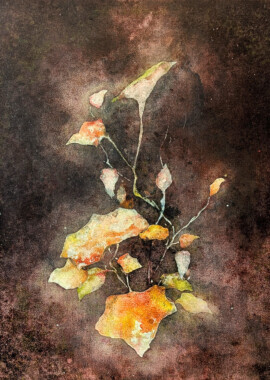 Arno Sijben, Balance 24 Olieverf, acrylverf en acrylaatbinder op doek, 60 x 50 cm